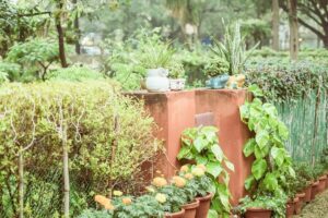 a garden filled with lots of potted plants